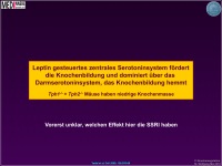 Abbildung 35: Knochenmasse