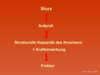 Abbildung 2: Sturzrisiko - Frakturrisiko