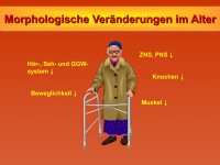 Abbildung 9: Sturzrisiko - Frakturrisiko