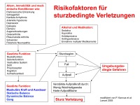 Abbildung 14: Sturzrisiko - Frakturrisiko