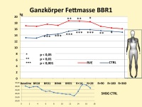 Abbildung 13: Immobilisierung