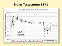 Abbildung 14: Immobilisierung