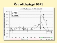 Abbildung 15: Immobilisierung