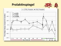 Abbildung 16: Immobilisierung