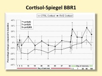 Abbildung 17: Immobilisierung