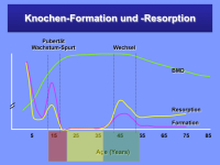 Abbildung 5: Knochengesundheit