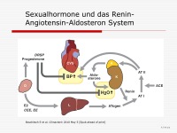 Abbildung 18: HRT