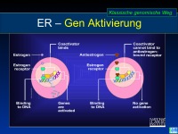 Abbildung 6: SERMS