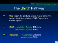 Abbildung 8: SERMS