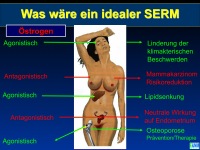 Abbildung 11: SERMS