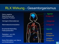 Abbildung 41: SERMS