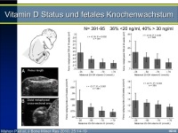 Abbildung 5: Vitamin D