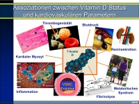 Abbildung 12: Vitamin D