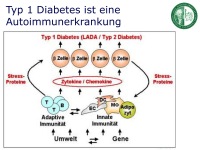 Abbildung 5: Vitamin D 