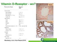 Abbildung 5: Vitamin D