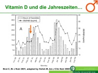 Abbildung 7: Vitamin D