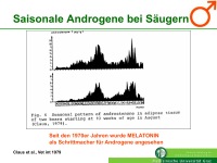 Abbildung 10: Vitamin D