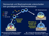 Abbildung 14: RANK-Ligand