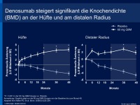 Abbildung 23: RANK-Ligand