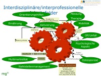Abbildung 3: Tiroler Zentrum f�r Altersfrakturen
