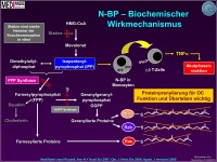 Abbildung 38: Osteoporose