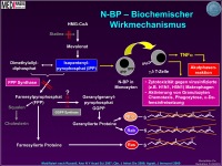 Abbildung 42: Osteoporose