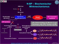 Abbildung 43: Osteoporose
