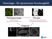 Abbildung 2: Osteoporose-Assessment