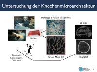 Abbildung 3: Osteoporose-Assessment