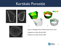 Abbildung 6: Osteoporose-Assessment