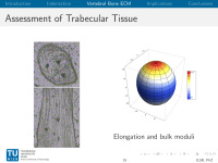 Abbildung 15: Osteoporose-Assessment