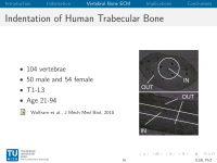 Abbildung 16: Osteoporose-Assessment