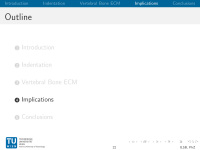 Abbildung 22: Osteoporose-Assessment