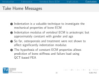 Abbildung 31: Osteoporose-Assessment