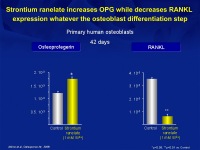 Abbildung 6: Osteoporose-Assessment