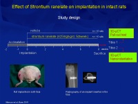 Abbildung 13: Osteoporose-Assessment