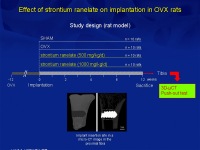 Abbildung 17: Osteoporose-Assessment