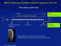 Abbildung 22: Osteoporose-Assessment