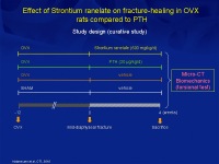 Abbildung 25: Osteoporose-Assessment