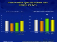 Abbildung 26: Osteoporose-Assessment