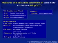 Abbildung 31: Osteoporose-Assessment