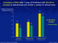 Abbildung 34: Osteoporose-Assessment
