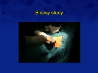 Abbildung 44: Osteoporose-Assessment