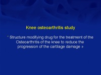 Abbildung 48: Osteoporose-Assessment