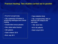 Abbildung 51: Osteoporose-Assessment