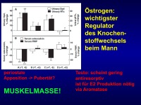 Abbildung 11: M�nnliche Osteoporose