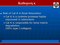 Abbildung 6: Kathepsin K