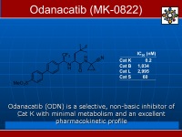 Abbildung 12: Kathepsin K