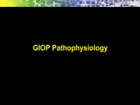 Abbildung 14: Osteoporose