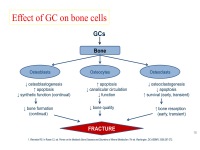 Abbildung 18: Osteoporose